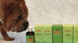 Dogs unboxing their NHV natural pet supplements