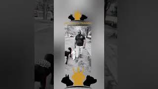 Www.jaycaydogservices.com