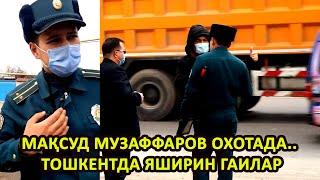 МАҚСУД МУЗАФФАРОВ ОХОТАДА... ТОШКЕНТДА ЯШИРИН ГАИЛАР...