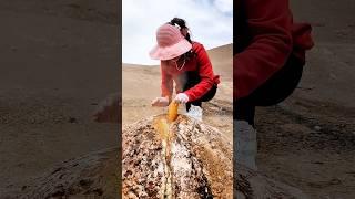 Woman cooking corn in a natural hot geyser