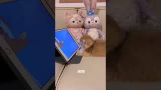 Cute Kitty Reacts To Tom and Jerry #kitten #cat #catlover #tomandjerry #viralcat #funnycats #cats