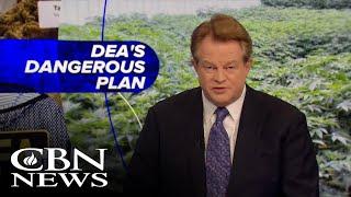 Dangers of Marijuana | News on The 700 Club: November 21, 2024