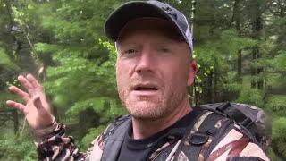 Searching for Morel Mushrooms