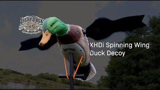 This *NEW* Lucky Duck Spinning Wing Decoy is WATERPROOF! (Lucky Duck XHDi Spinning Wing Decoy)