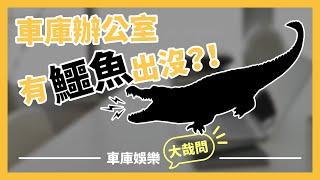【車庫大哉問】車庫娛樂的辦公室有一隻鱷魚？！來面試的人第一個問題都不是問薪水！