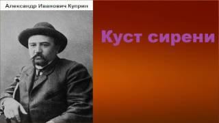 Александр Иванович Куприн.  Куст сирени. аудиокнига.