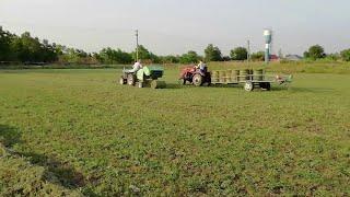 The fifth hay mowing. They press their baler 0850. Minitractor on hay harvesting.