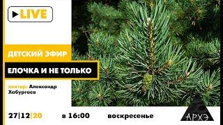 Детский эфир "Елочка и не только" в рамках рубрики "Путешествия с натуралистом"