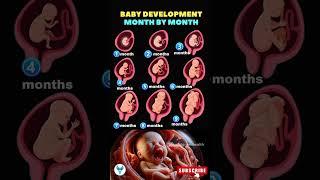 Baby development  Your Guide to Fetal Growth Month by Month | Fetus development #baby #shortsvideo
