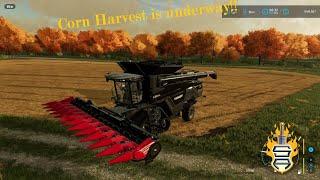 Corn Harvest Underway!! - Elm Creek - FS2022 - Episode 09