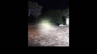 Police Record Bigfoot Screams