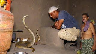 कोबरा साँप बैठा रहा चूल्हे के पास और घर वाले खाने पीने को परेशान  | Cobra snake rescue