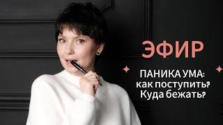 Паника ума: как поступить? Куда бежать?