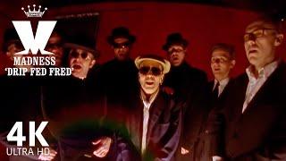 Madness - Drip Fed Fred feat. Ian Dury (Official 4K Video)