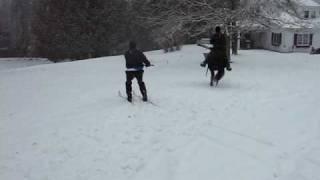vitali makarov skijoring on cross country skis