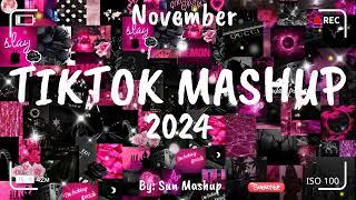 Tiktok Mashup November 2024 (Not Clean)