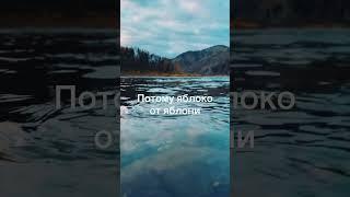 Русская пословица  #популярное #top #new #цитаты #funny #youtubeshorts #youtube #юмор #shorts