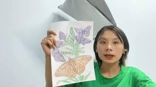 Coloring book picture of many colorful butterflies flying around