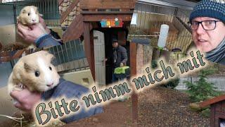 Besuch im Tierheim Quedlinburg -  Eine Spende für Tiere in Not - Tierschutz in Quedlinburg