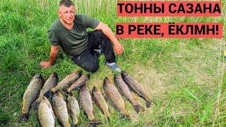 РЫБАЛКА МЕЧТЫ - ТОННЫ САЗАНА Нарвался на ход сазана Рыбалка 2025 Рыбалка с лодки. Рыбалка в Сибири