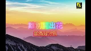 就是南方凱《離別開出花》| Li Bie Kai Chu Hua | 動態歌詞lyrics 【当离别开出花 伸出新长的枝桠】