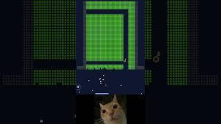 chipi chipi chapa chapa cat funny #brick #chipichipichapachapa #viral #funny