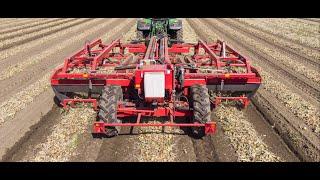 ASA LIFT 3 bed onion windrower