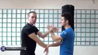 Basic Wing Chun Concepts - How to FIGHT Using Wing Chun Kung Fu Video Course on Udemy.com