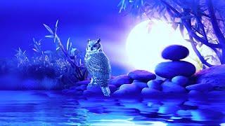 10 Hours of Calming Sleep Tones, Deep Sleep Hypnosis: Melatonin Release | Full Body Relaxation 3869