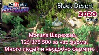 Могила Шарехана. Black Desert Фарм серебра 2020. Пойдет, с натяжкой..