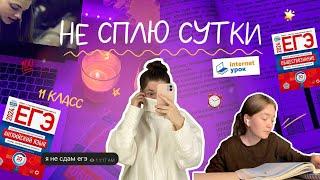 study vlog // учусь всю ночь, егэ, домашнее обучение 