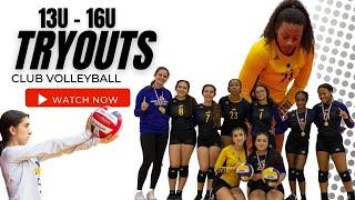 Join The Volleyball Club Team - With AMBROSE ATHLETICS VOLLEYBALL