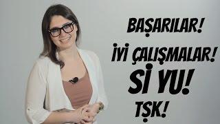 İş Hayatı Nedir?