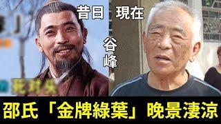 邵氏「金牌綠葉」近況曝光！一個被迫退圈成打工仔，一個3婚3離慘死街頭，只有她依舊是大明星#午馬#穀峰#沈殿霞#李麗麗#星光大賞