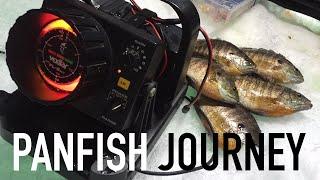 PANFISH JOURNEY | 1 OF THOSE 10,000 LAKES - UP NORTH OUTDOOR MADNESS