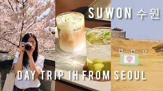  Spring in Korea  why you should go outside of Seoul & UNESCO | Day Trip to Suwon