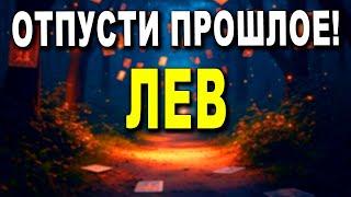 ЛЕВ  ОТПУСТИ ПРОШЛОЕ, ЖИВИ ПОЛНОЙ ЖИЗНЬЮ   