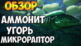 УГОРЬ, АММОНИТ + МИКРОРАПТОР(ОБЗОР) ► Ark: Survival Evolved #10