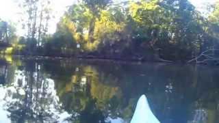 Bonville Creek Paddle 110514