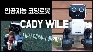 [CADY WILE]인공지능코딩로봇!!! 이런 장난감은 처음이야..