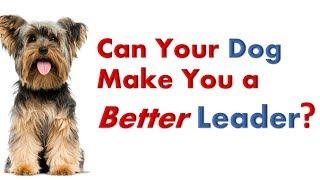 Leadership Talk – How You Can Become A Better Leader by Working With Your Dog