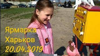 Переносной голубидром Ярмарка Харьков 20.04.2019