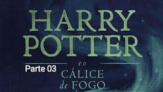 HARRY POTTER E O CÁLICE DE FOGO - AUDIOLIVRO COMPLETO PARTE 03 @naotenhotempopraler