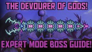 How to Beat the Devourer of Gods in Terraria! -Expert Mode Calamity Mod Boss Guide!