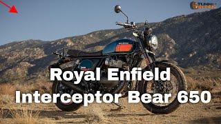 Royal Enfield Interceptor Bear 650: Neuer Scrambler sorgt für Aufsehen!