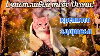 Песня про осень  / song about autumn !