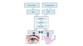 Intro to Cognitive Modeling