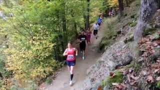 TRIEXPERT Vokolo príglu 2014