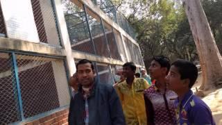 Visit to Dhaka Natinal zoo - Part 2