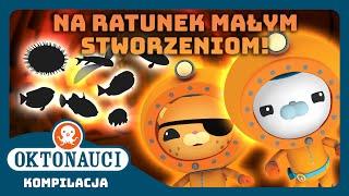 Oktonauci -  Na ratunek małym stworzeniom! 🪸 | Kompilacja | Całe odcinki